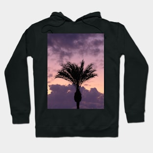 Tropical Palm Tree with Violet Sunset Hoodie